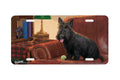 "I Rule This Couch" - Decorative License Plate