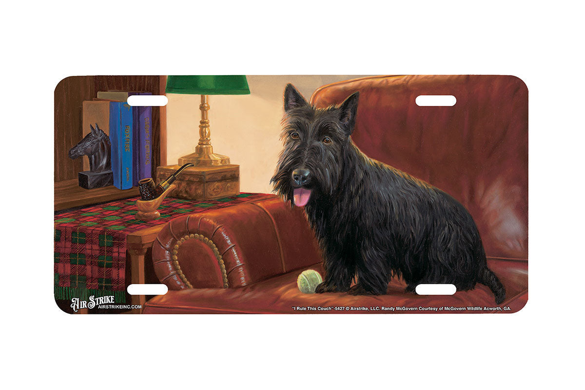 "I Rule This Couch" - Decorative License Plate