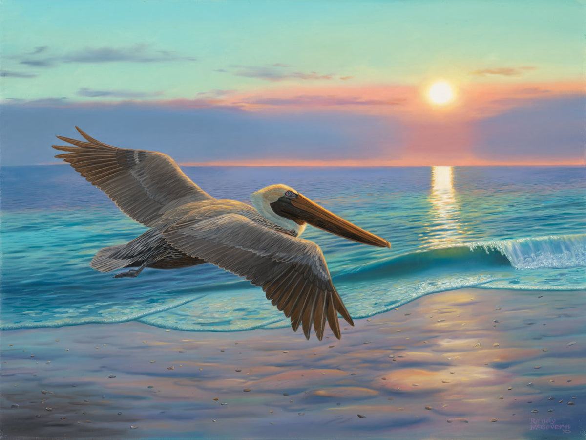 Flight Song – Large Framed Coastal Wall Art