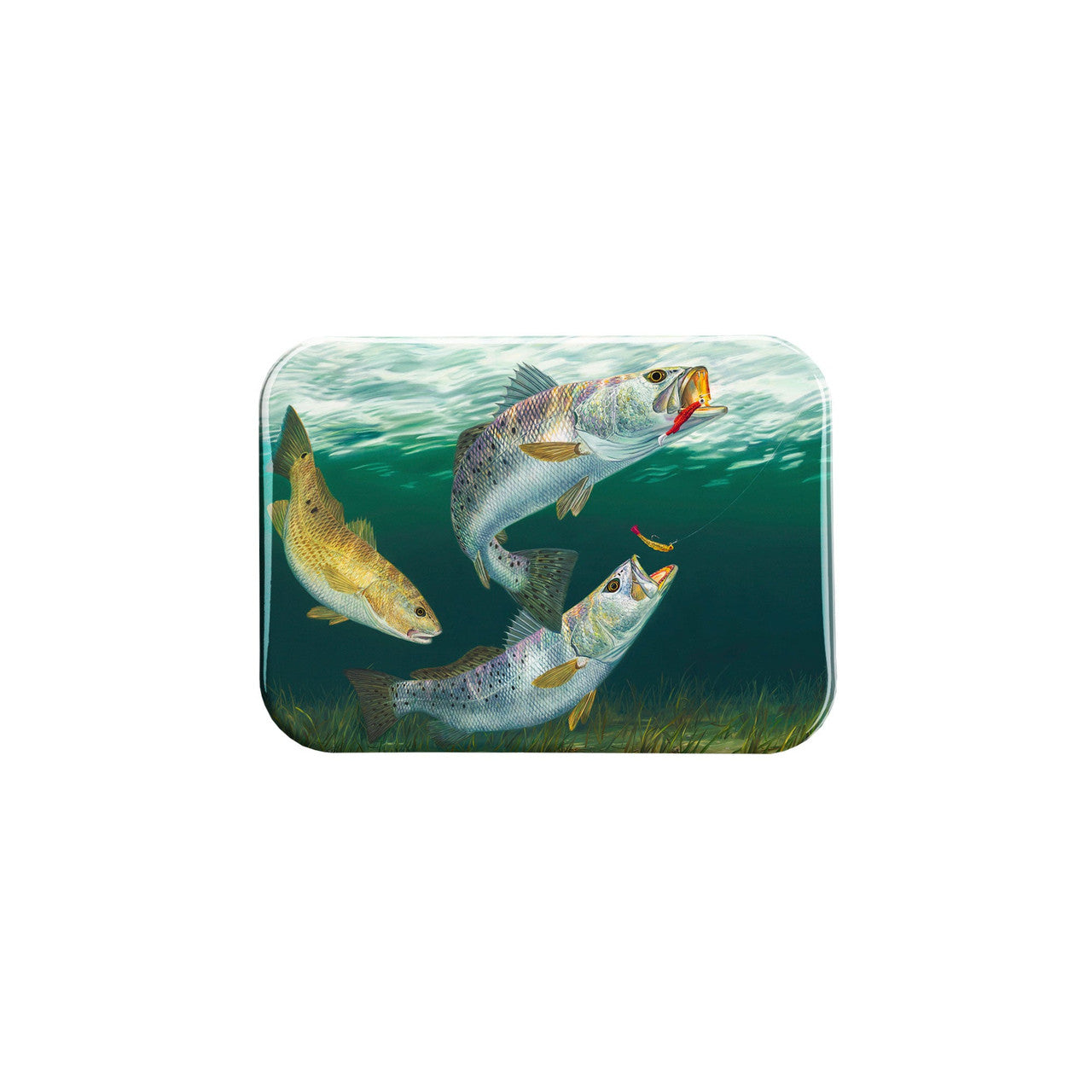 "Doubling Up" - 2.5" X 3.5" Rectangle Fridge Magnets