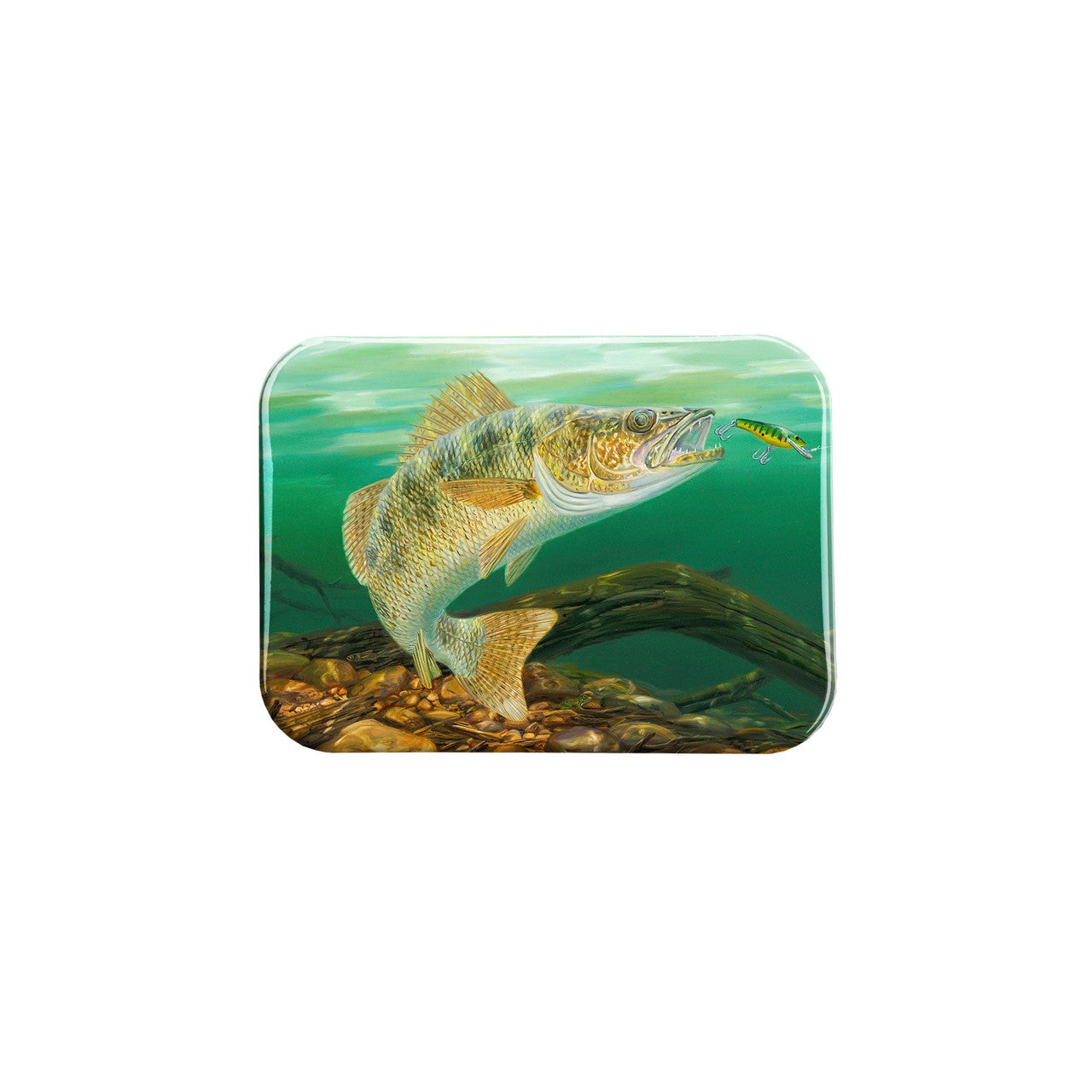 "Eyeing The Prize" - 2.5" X 3.5" Rectangle Fridge Magnets