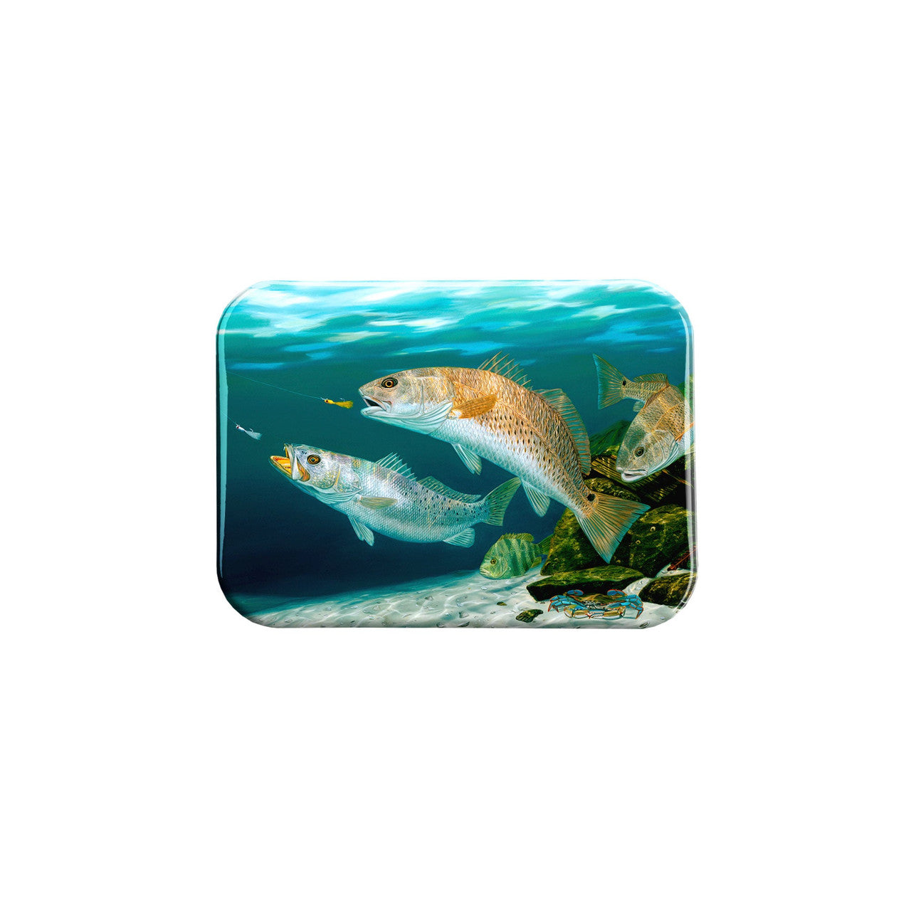 "Free For All" - 2.5" X 3.5" Rectangle Fridge Magnets