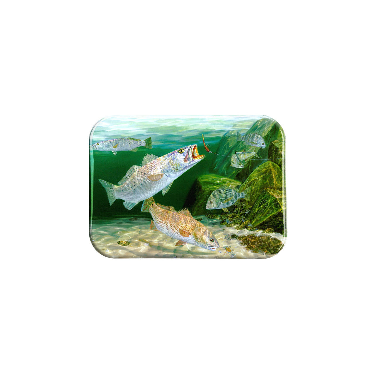 "Jettie Junkies" - 2.5" X 3.5" Rectangle Fridge Magnets