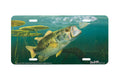 "Power Lunch" - Decorative License Plate
