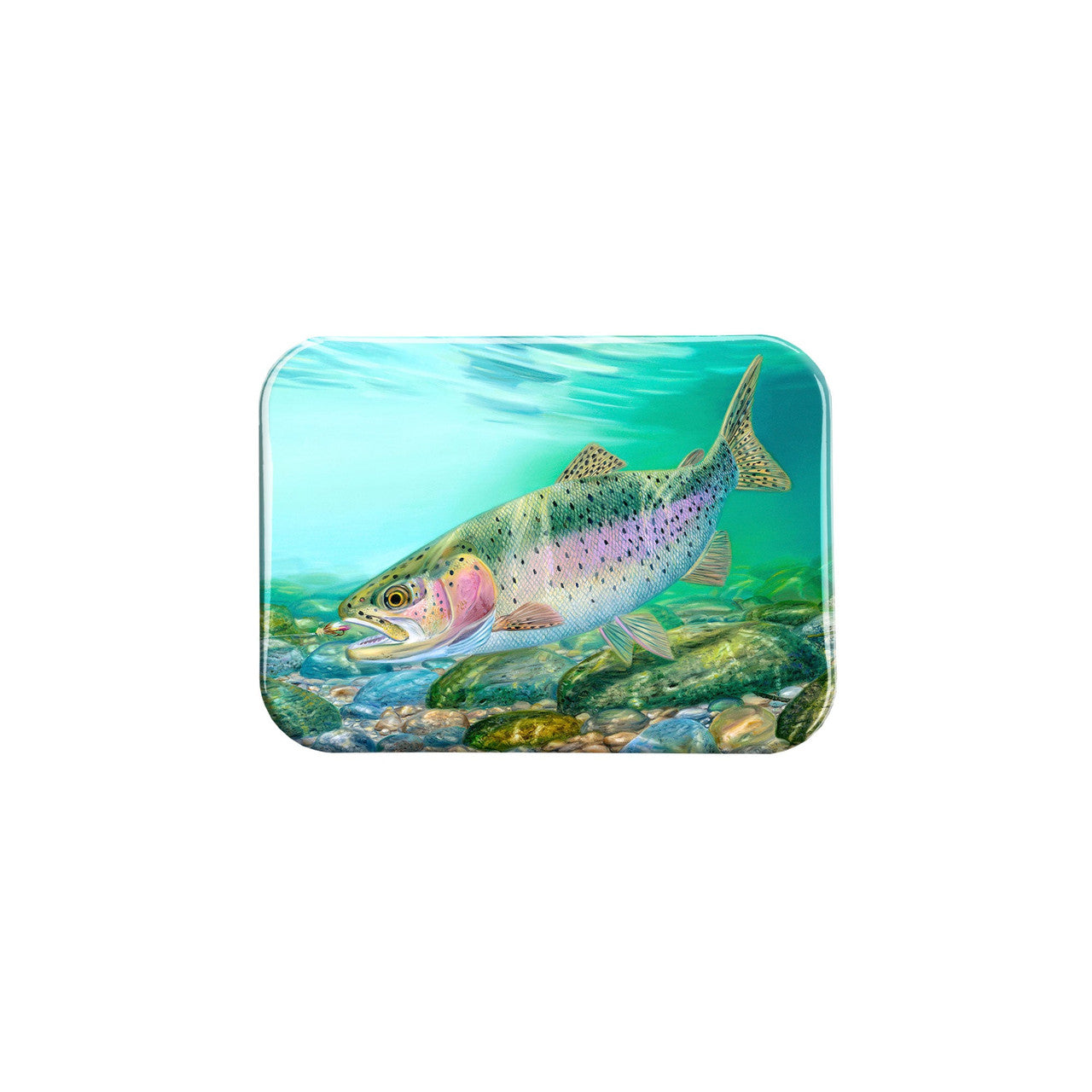 "Rainbow Delight" - 2.5" X 3.5" Rectangle Fridge Magnets