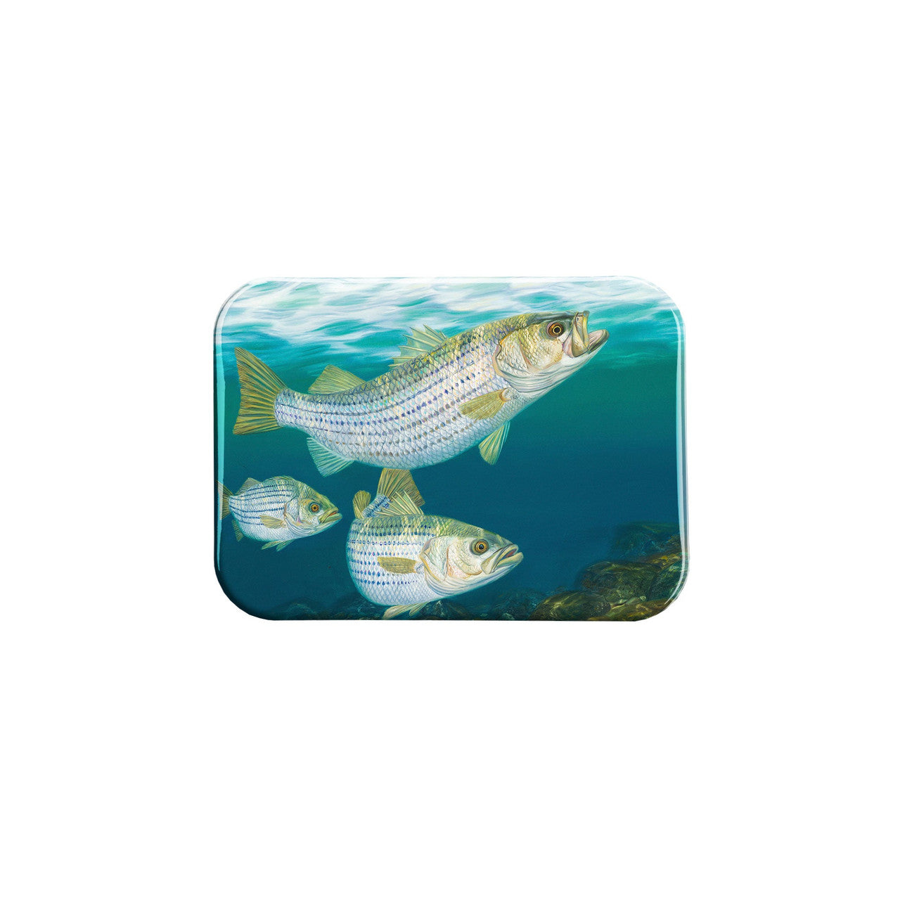 "Stars And Stripers" - 2.5" X 3.5" Rectangle Fridge Magnets
