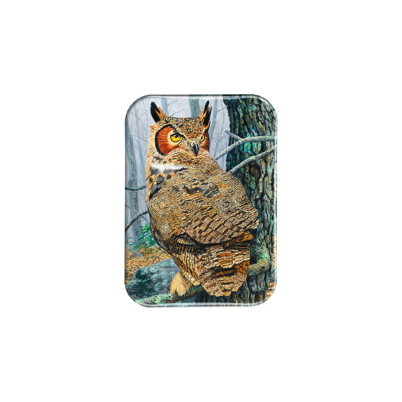 "Fog Watch" - 2.5" X 3.5" Rectangle Fridge Magnets