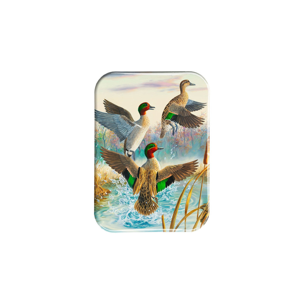 "Green Wings" - 2.5" X 3.5" Rectangle Fridge Magnets