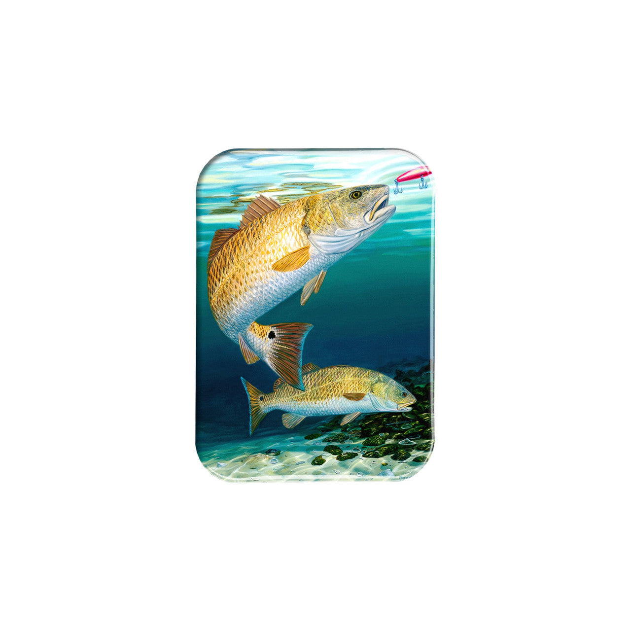 "Red Hot" - 2.5" X 3.5" Rectangle Fridge Magnets