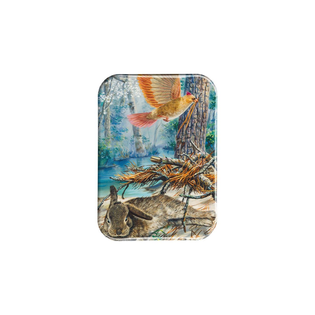 "Robbing Peter" - 2.5" X 3.5" Rectangle Fridge Magnets