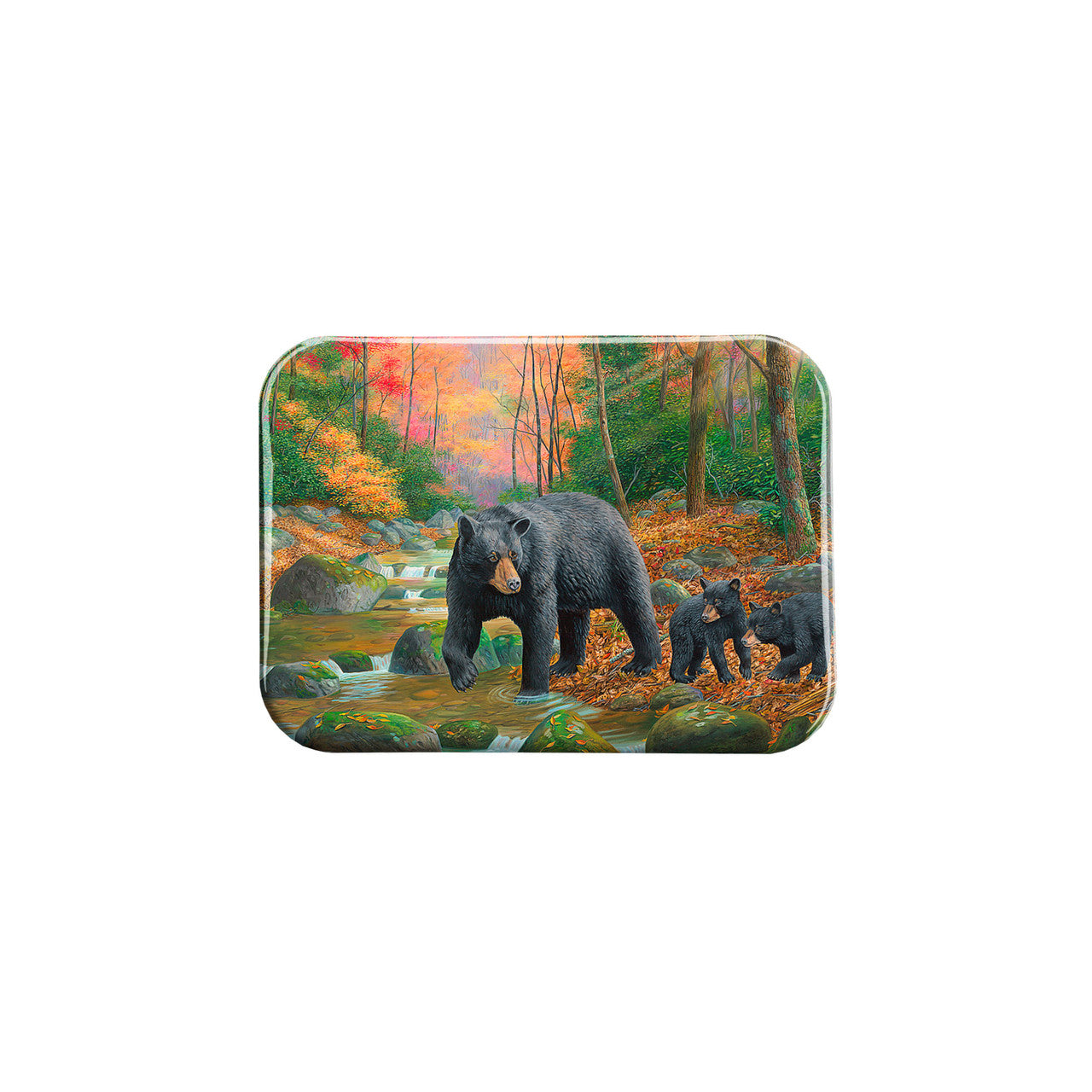 "The Waters Fine" - 2.5" X 3.5" Rectangle Fridge Magnets