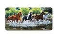 "Creek Crossing" - Decorative License Plate