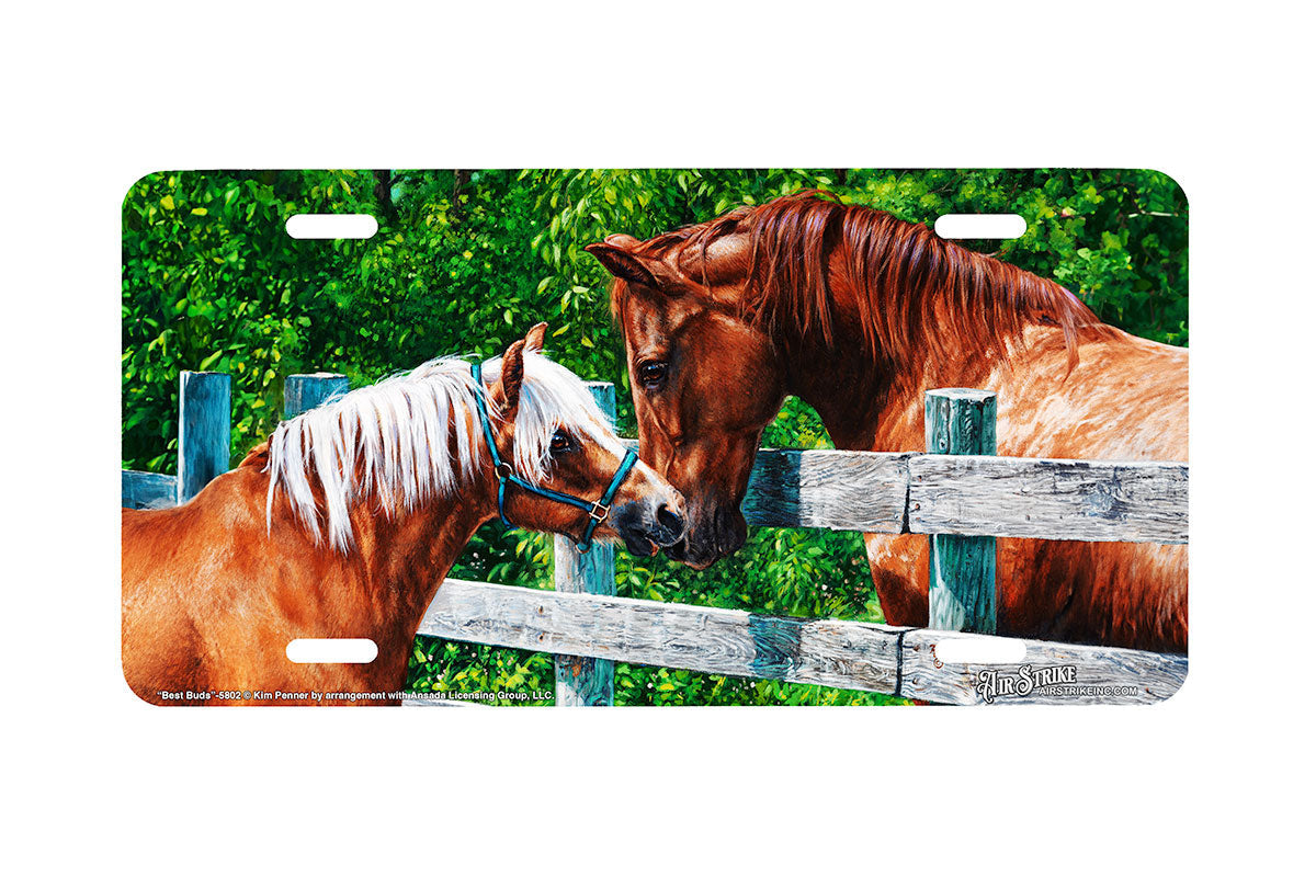 "Best Buds" - Decorative License Plate