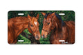 "Sharing Secrets" - Decorative License Plate