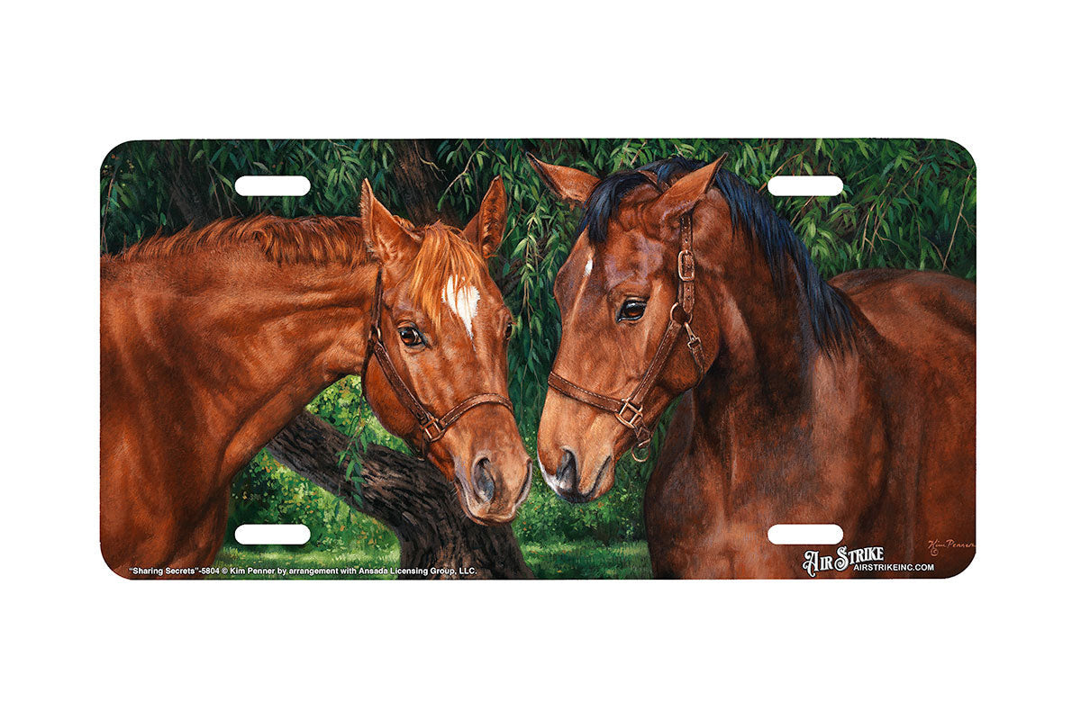 "Sharing Secrets" - Decorative License Plate