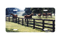 "Kentucky Quintet" - Decorative License Plate