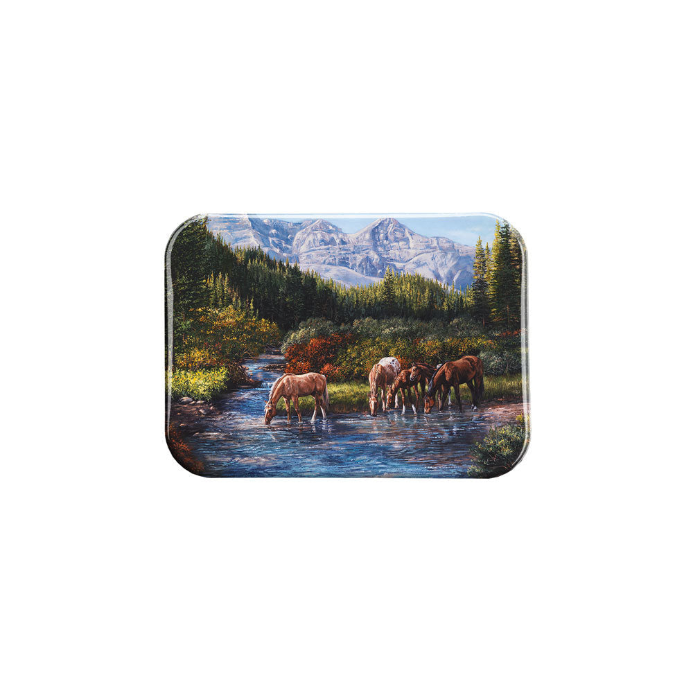 "Somewhere in Heaven" - 2.5" X 3.5" Rectangle Fridge Magnets