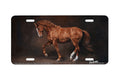 "Poetry in Motion" - Decorative License Plate