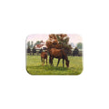 "Pride of Kentucky" - 2.5" X 3.5" Rectangle Fridge Magnets