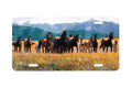 "Wildflowers" - Decorative License Plate