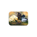 "Playful Trio" - 2.5" X 3.5" Rectangle Fridge Magnets