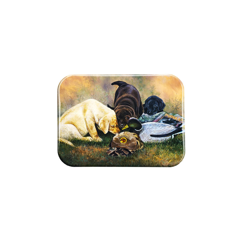 "Playful Trio" - 2.5" X 3.5" Rectangle Fridge Magnets