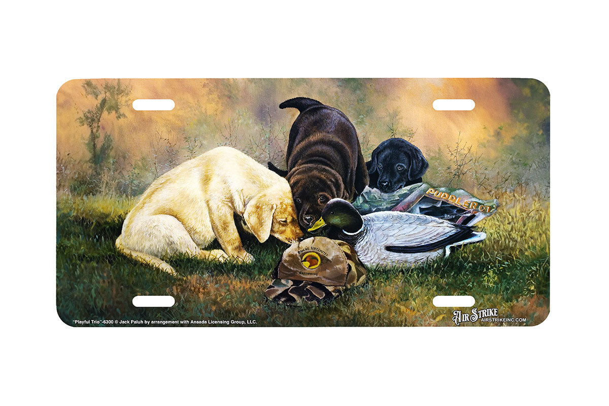 "Playful Trio" - Decorative License Plate