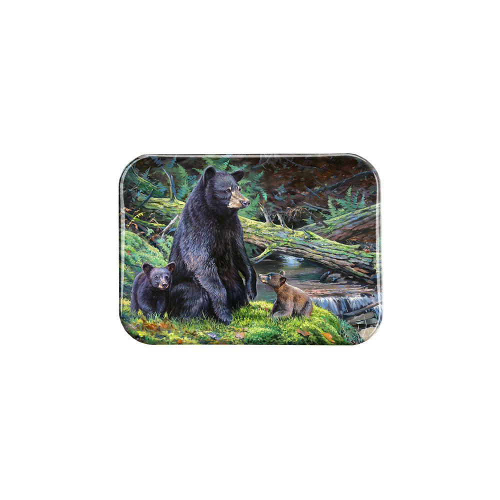 "Bear Necessities" - 2.5" X 3.5" Rectangle Fridge Magnets