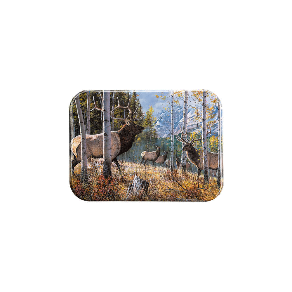 "The Challenge" - 2.5" X 3.5" Rectangle Fridge Magnets