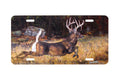 "Narrow Escape" - Decorative License Plate