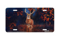 "Close Encounter" - Decorative License Plate