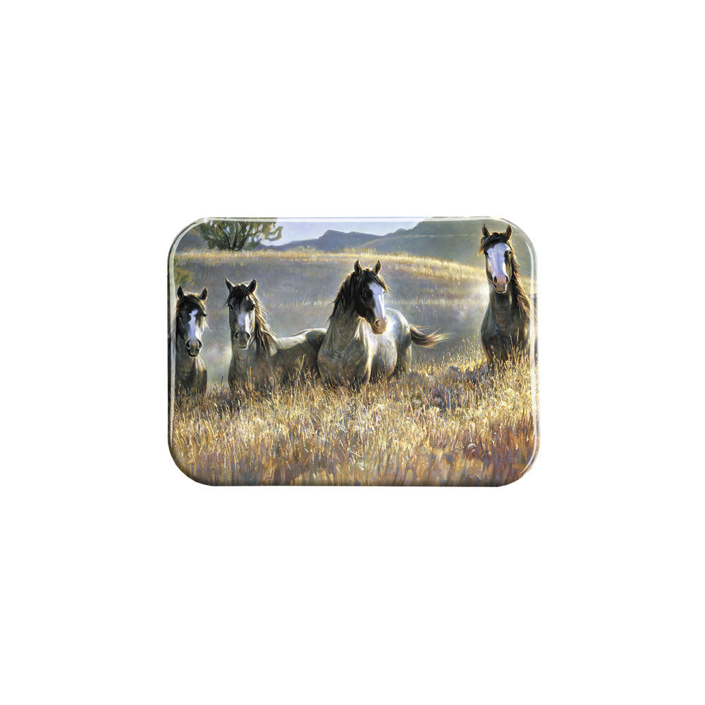 "Amazing Grays 3" - 2.5" X 3.5" Rectangle Fridge Magnets