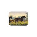 "Brand New Hope" - 2.5" X 3.5" Rectangle Fridge Magnets