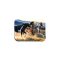 "Three Amigos" - 2.5" X 3.5" Rectangle Fridge Magnets
