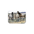 "Amazing Grays 2" - 2.5" X 3.5" Rectangle Fridge Magnets