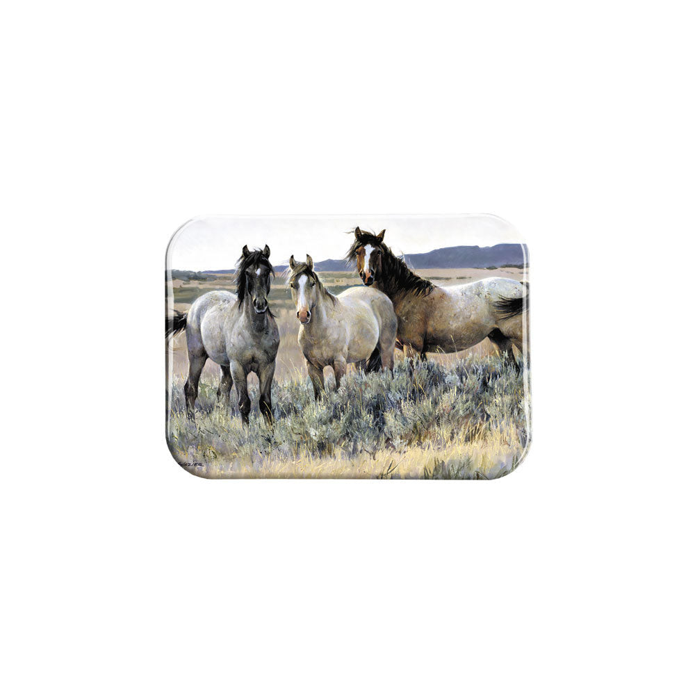 "Amazing Grays 2" - 2.5" X 3.5" Rectangle Fridge Magnets