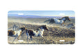 "Unbridled Spirit" - Decorative License Plate