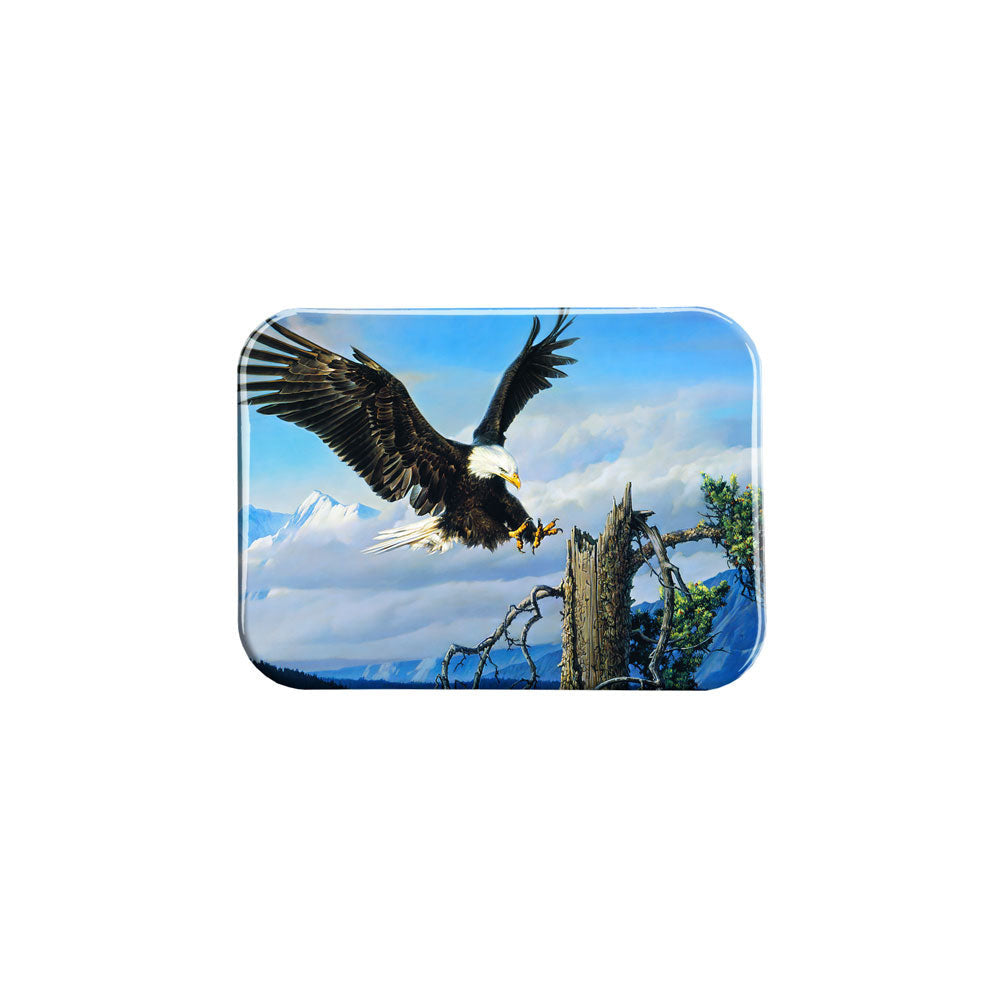 "Power Landing" - 2.5" X 3.5" Rectangle Fridge Magnets