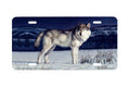 "Starlight Sentry" - Decorative License Plate
