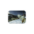 "Hunters Moon" - 2.5" X 3.5" Rectangle Fridge Magnets