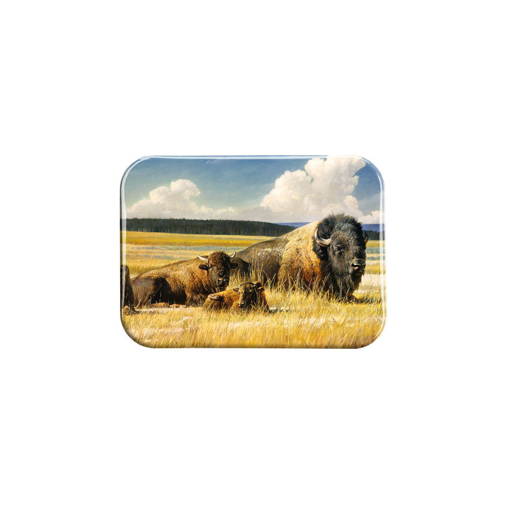 "American Pride" - 2.5" X 3.5" Rectangle Fridge Magnets