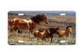 "The Whispering Wind" - Decorative License Plate