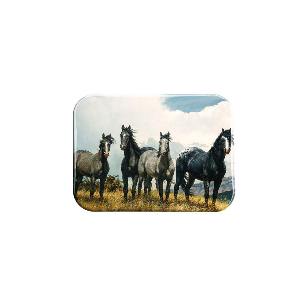 "Amazing Grays IV" - 2.5" X 3.5" Rectangle Fridge Magnets