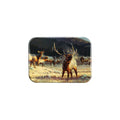 "Rocky Mountain Meadow" - 2.5" X 3.5" Rectangle Fridge Magnets