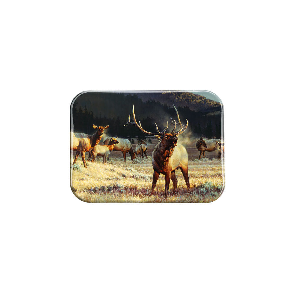 "Rocky Mountain Meadow" - 2.5" X 3.5" Rectangle Fridge Magnets