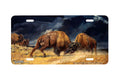 "Rolling Thunder" - Decorative License Plate