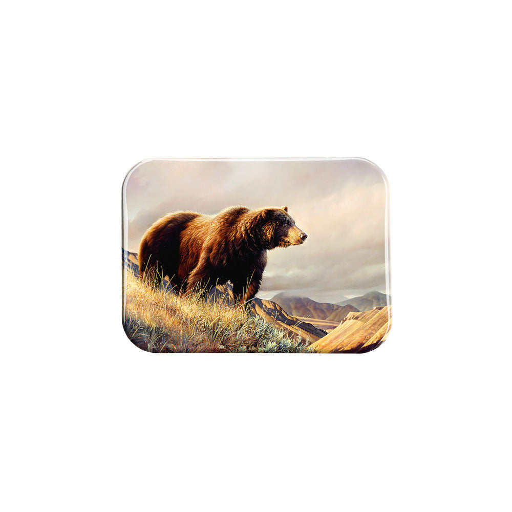 "Fresh Air" - 2.5" X 3.5" Rectangle Fridge Magnets