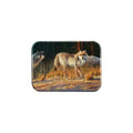 "Border Potrol" - 2.5" X 3.5" Rectangle Fridge Magnets