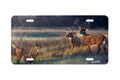 "Shadow Tales" - Decorative License Plate