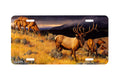 "Farewell To Fall Ii" - Decorative License Plate
